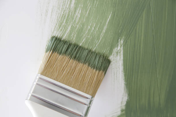 Best Mold Remediation for Healthcare Facilities  in Shelbyville, TN
