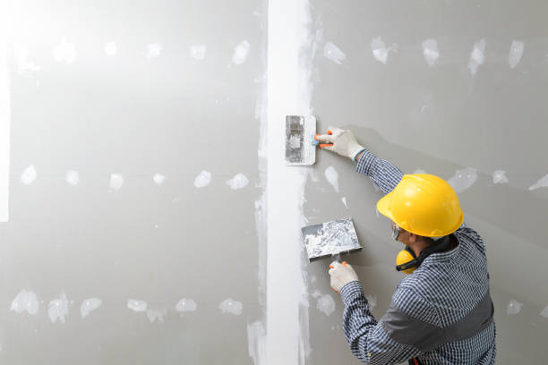 Best Post-Construction Mold Inspection  in Shelbyville, TN