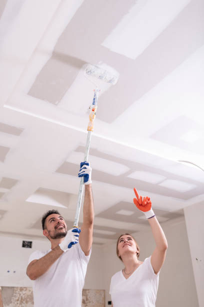 Best Black Mold Removal  in Shelbyville, TN