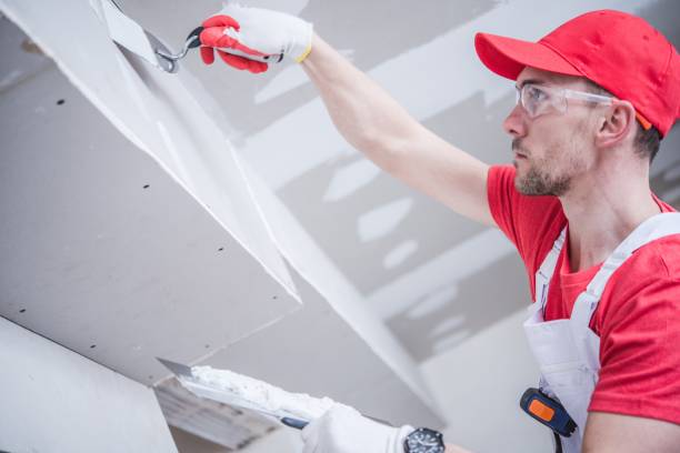 Best Basement Mold Removal  in Shelbyville, TN
